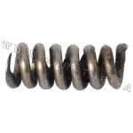 Extractor Spring