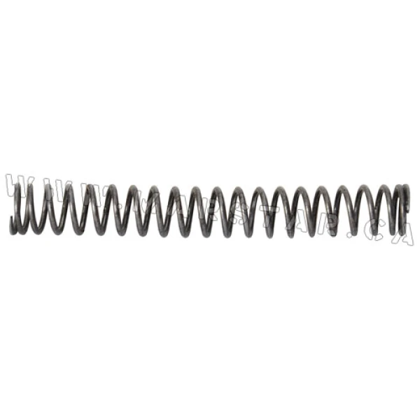 Recoil Spring