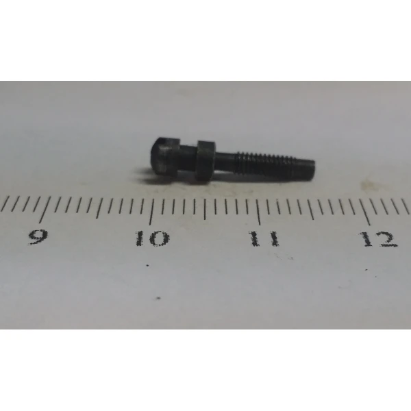 Windage Screw