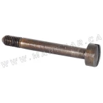 Grip Screw