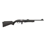 Rossi22lr